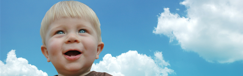Clean As A Whistle - Your Carpet and Upholstery Cleaners!