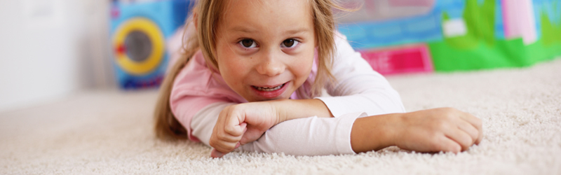 Clean As A Whistle - Your Carpet and Upholstery Cleaners! Clean As A Whistle - Your Carpet and Upholstery Cleaners!