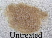 Carpet that has not been treated by the Clean As A Whistle Fiber and Fabric Protectent